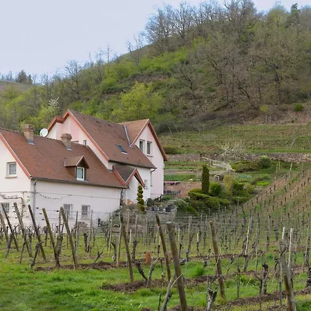 アパート Les Glycines Du Sommerberg