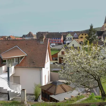 Les Glycines Du Sommerberg * Niedermorschwihr