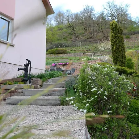 Apartment Les Glycines Du Sommerberg