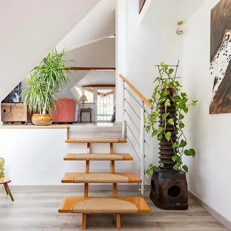 Les Glycines Du Sommerberg Apartamento