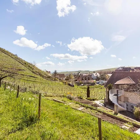 アパート Les Glycines Du Sommerberg *